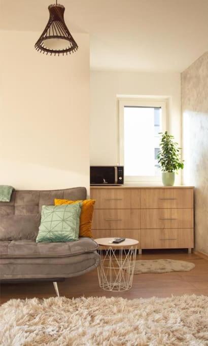 5 Dream Apartment 5 Cu Parcare Privata Oradea Exterior foto